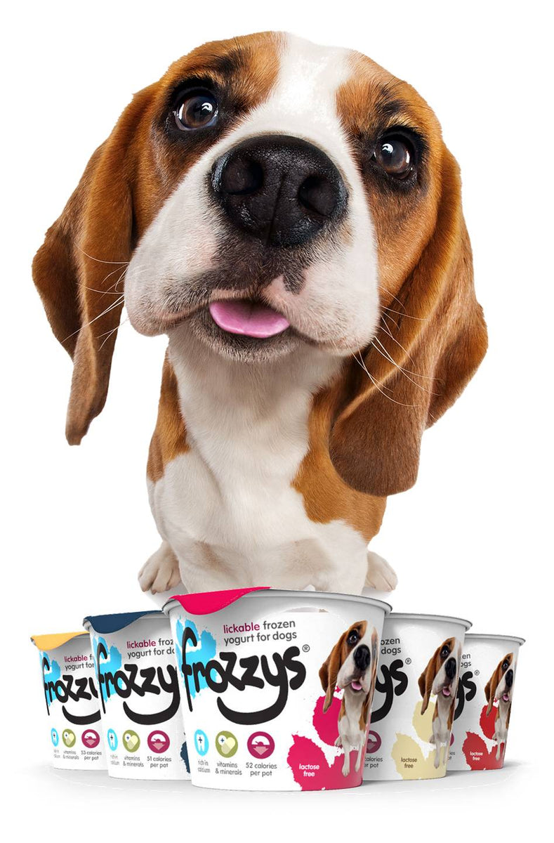 Frozzys dog frozen on sale yogurt