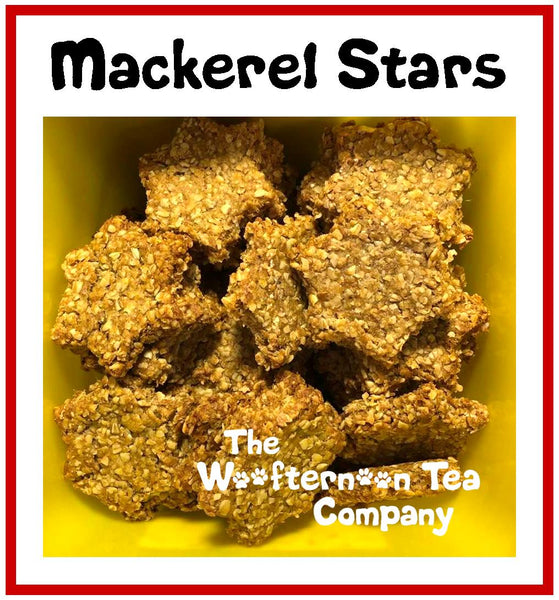 Mackerel Stars